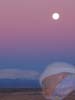 sweet_dreams