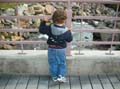 DSCN2513